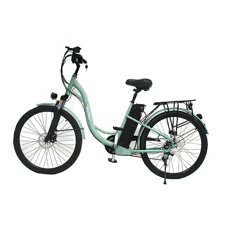 2022 뜨거운 판매 36V 10Ah 전기 자전거, 전기 자전거 (오래 된) 전기 자전거, 리튬 배터리 250W 전기 도시 자전거