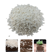 Offre Spéciale Coco Construction Mélange de perlite de coco Conditionneur de sol expansé pour l'horticulture Agriculture et isolation