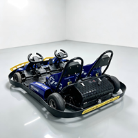 Karts électriques haute vitesse, voitures de karting à vendre, buggy de course, karting