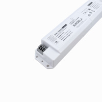 Convertisseur d'alimentation d'urgence LED 2W commercial intégré, IP20 Classe II, double source, test automatique, 20-250Vdc, LiFePO4, SAA