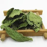 Feuille de menthe sauvage biologique de haute qualité, saine, menthe verte, menthe poivrée, feuilles de thé à la menthe d'hiver