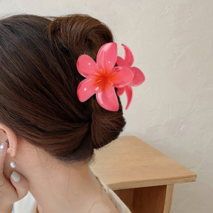 3PCS Sets Hawaii Style Jelly Feste transparente Farbe Kunststoff Blume Haar Klaue <span class=keywords><strong>Clips</strong></span> Frauen Mädchen Party Haarschmuck - Product Image 4