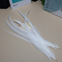Plumes de coq blanches pures de 14-16 pouces, plumes naturelles de coq pour fête, carnaval, bricolage, vêtements, ornement