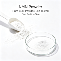 Nicotinamide Mononucléotide Bêta de Haute Qualité Pureté 99% Poudre NMN Précurseur de NAD+ Complément Anti-Âge