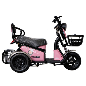 Tricycle électrique à trois roues homologué pour la route, pour adultes, modèle Philippine <span class=keywords><strong>E</strong></span> Trike, carrosserie ouverte, 500W-800W, batterie 48V - Product Image 6