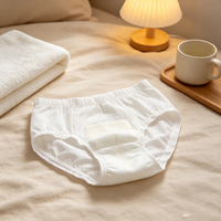 Culottes Menstruelles Jetables Anti-Fuites avec Bande Magique pour Femmes