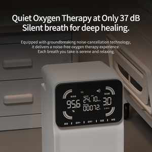 Concentratore di Ossigeno Medico da 3 Litri con Certificazione ISO CE, Concentratore di Ossigeno Sanitario, Concentratore di Ossigeno Medico per Animali Domestici - Product Image 5