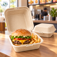 Boîte à hamburger compostable en bagasse de canne à sucre 6 pouces, emballage alimentaire à clapet pour plats à emporter, emballage biodégradable pour restauration rapide, vente en gros
