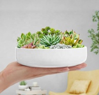 W925 Vente en gros de pots à succulentes suspendus au mur, pots à cactus ovales de 6 pouces en céramique blanche écologique, pot de fleurs avec plateau en bambou, lot de 2