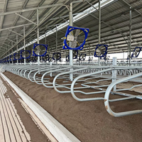 Solutions professionnelles pour lits de vaches Wela et boxes pour vaches d'occasion à vendre, idéales pour l'utilisation dans les exploitations laitières modernes