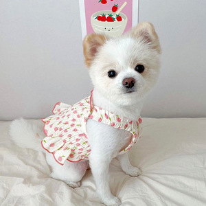 Teddy Bear Dress for Puppies, Summer <b>Clothes</b>, Small Pet Puppies, Bichon Frise, Pomeranian, Yorkshire Terrier, <b>Cats</b>, - Product Image 4