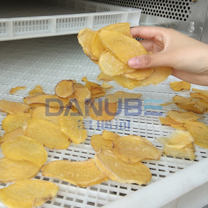 เครื่องอบแห้งแบบกำหนดเองสำหรับโรงงาน  เครื่องอบแห้งประสิทธิภาพสูงสำหรับการผลิตอาหารเชิงพาณิชย์  เครื่องอบแห้งกล้วย  เครื่องอบแห้งแบบสายพาน - Product Image 6