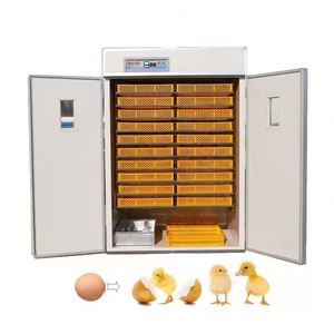 Incubadora de Huevos de Aves Totalmente Automática de Tamaño Pequeño con Motor de Alta Productividad y Doble Fuente de Alimentación - Venta Directa del Fabricante - Product Image 1