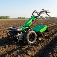 Motoculteur rotatif à moteur certifié CE BCS pour agriculteurs