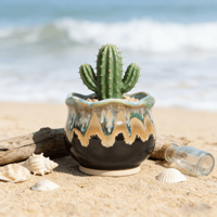 Soldes Exceptionnelles : Jardinières en Céramique Exquises pour Plantes Succulentes – Trou de Drainage, Bordures Délicates en Dentelle, Conception Respirante, Écologiques, Style Vintage
