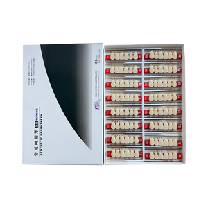 Dentadura de resina sintética de dos capas Anterior personalizada de fábrica <span class=keywords><strong>CAIYU</strong></span>, certificado CE ISO, accesorios de equipo de terapia oral Manual - Product Image 2