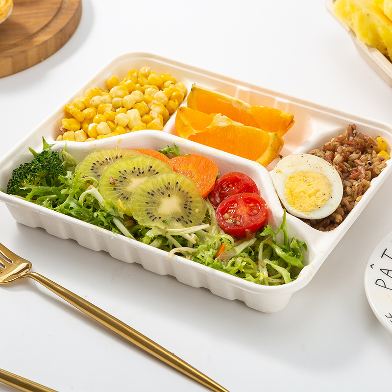 Biodegradable Disposable Food Clamshell / 3 5 Compartments Food Box Tray