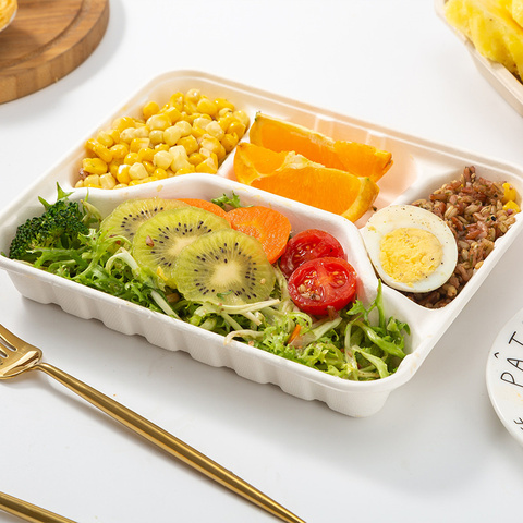 Biodegradable Disposable Food Clamshell / 3 5 Compartments Food Box Tray