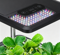 Jardín Hidropónico Interior Inteligente con Indicador de Nivel de Agua y Luz LED para Fresas