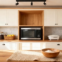 Four à convection multifonction 4-en-1 28L avec friteuse à air et grill pour usage domestique et hôtelier – Offre Spéciale