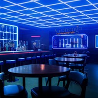 Neues Design für Geschäfte, Partys, Friseursalons, Supermärkte, Autowerkstätten, Nachtclubs: LED-Sechseckleuchte mit RGB