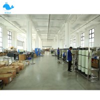 250 500LPH 1000LPH Machines de traitement de l'eau Système RO Système de purification de l'eau Osmose inverse pour l'eau de puits Eau souterraine