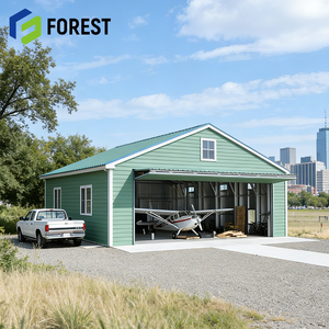 Hangar de Aviones de Estructura de Acero Prefabricada de Alta Resistencia, Personalizado, Fácil de Ensamblar, para Logística Aeronáutica, Directo de Fábrica - Product Image 1