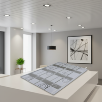 Panneau de plafond en PVC perforé moderne commercial, ignifuge, étanche, insonorisant, pour hôpitaux, extérieur et sous-sols