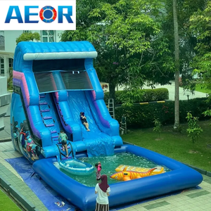 Nước chơi trượt <span class=keywords><strong>Inflatable</strong></span> giải phóng mặt bằng phổ biến <span class=keywords><strong>Inflatable</strong></span> cá heo trượt nước với hồ bơi - Product Image 5