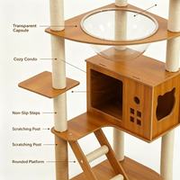 Arbre à chat en bois avec deux capsules spatiales en acrylique, poteau à gratter en sisal, meubles pour chat à plusieurs niveaux