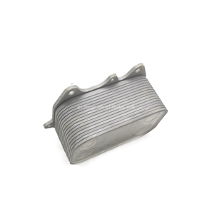 0381170117021c Volksagen aui के लिए उच्च गुणवत्ता वाले इंजन तेल कूलर - Product Image 3