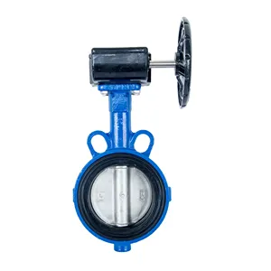 High Quality Cast Iron Stainless Steel Lug Wafer Flanged Type Manual Operated Butterfly Valve For Oil Gas Water