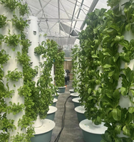 Vente en gros de tours aéroponiques multi-niveaux, serres, tours d'hydroponie, jardins verticaux, systèmes de culture hydroponique