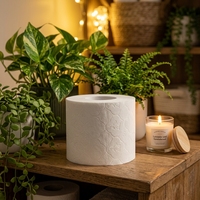 Papier toilette jetable en petits rouleaux, en pâte de bois vierge, compatible fosses septiques, pour la vente en gros aux supermarchés