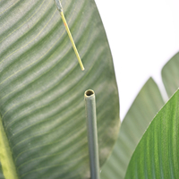 Palmier artificiel détachable de 180 cm à 10 feuilles en tissu de soie - Fausse plante de bananier pour la décoration de la maison et du bureau