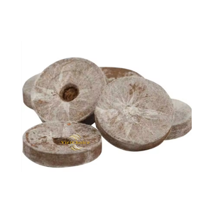 VietChoice 100% Pellet de coco biologique et écologique pour la culture de légumes et de plantes succulentes, directement de l'usine - Product Image 6