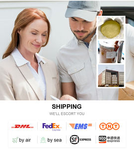 Healthife Pflanzen extrakt Nahrungs ergänzungs mittel Oleuropein Pulver Oliven blattex trakt - Product Image 5