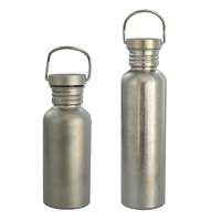 Bouilloire de camping en titane, bouteille d'eau résistante à la corrosion, pot en titane pour randonnée en plein air, vélo, tourisme, 520 ml, thermos anti-fuite