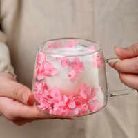 Mug à café à double paroi en verre borosilicate de 200 ml, design simple, mug à café en verre à double paroi, mug en verre à double paroi avec fleurs séchées