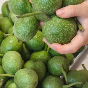 Noix blanches fraîches biologiques du Plateau du Yunnan-Guizhou, fabricant de haute qualité de noix du Yunnan, usine d'origine - Product Image 2