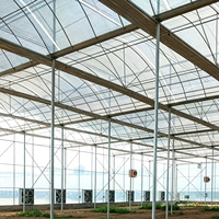 Serre multi-travées en polycarbonate avec structure en acier galvanisé à chaud, résistante aux UV, pour la culture de légumes et de fleurs