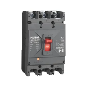 China double pole 3 phase circuit breaker 100 amp breaker for industrial application