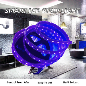 Tira de Luces LED Inteligente RAYMATES de 12 V 2835 120 LED SMD, 4 mm, Flexible, Cortable, con Control Remoto - Product Image 2