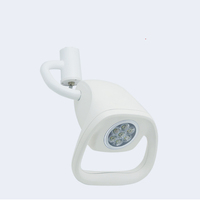 21W LED-Hilfs betriebs lampe 7-Loch-hängendes Veterinär-Operations licht Wand montage für medizinische Untersuchungen CE ISO Electric