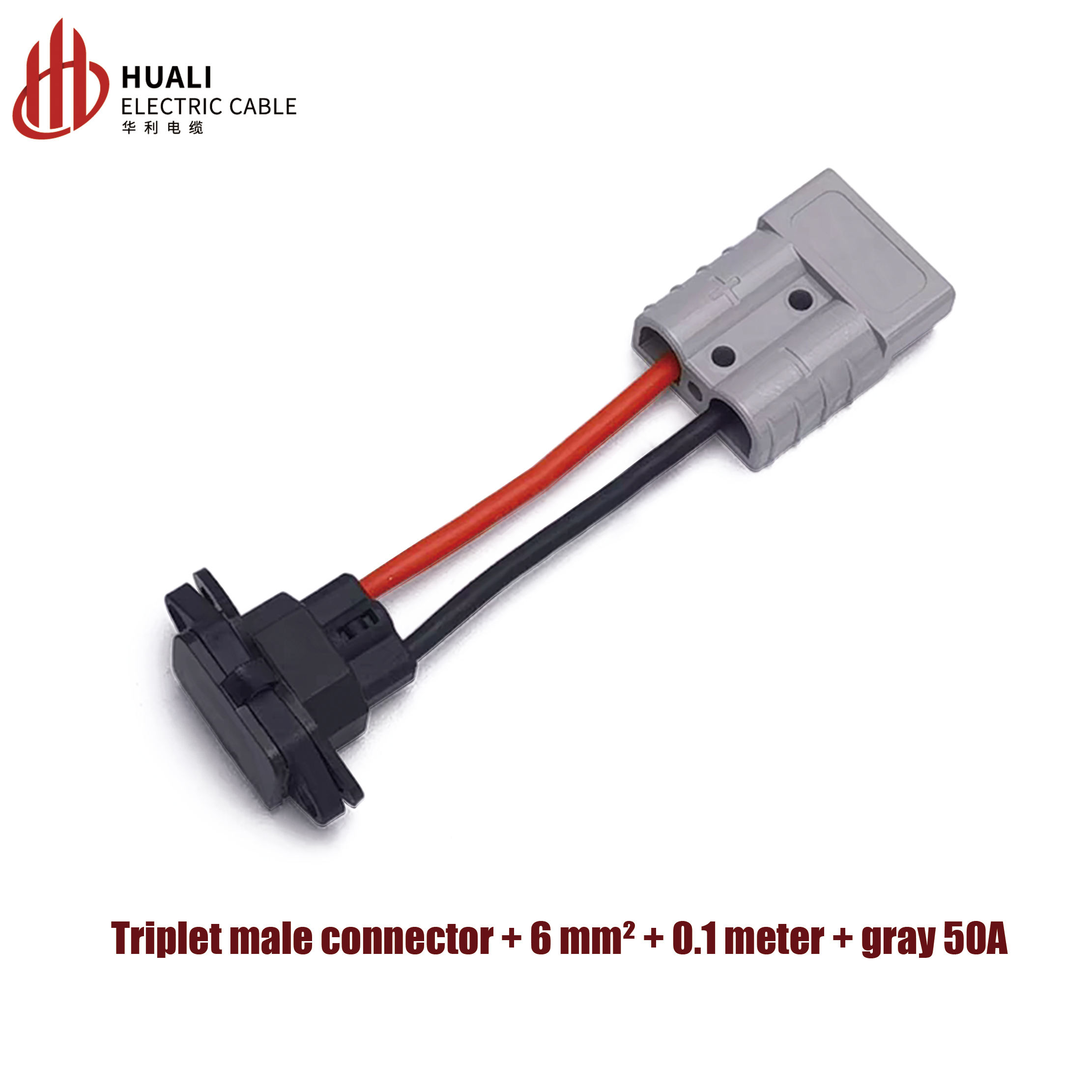 Enchufe macho triangular convertido a 50A (6 mm&sup2; + 0,1 M)