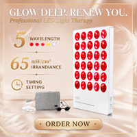 Panel Terapi Cahaya Merah 460nm/590nm/630nm/660nm/940nm Lampu Terapi Inframerah Panel Cahaya Terapi Pereda Nyeri Bantalan Lampu Terapi Cahaya Merah