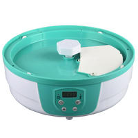 Déshydrateur alimentaire électrique BAIYI, vente directe d'usine, usage domestique, plastique, 5 plateaux, contrôle numérique, 250W, économe en énergie