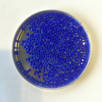 Gel de silice gris déshydratant biodégradable 1-4 mm, adsorbant réutilisable, pureté 99 % ; certifié ROHS/SGS pour imprimantes 3D, appareils photo, bijoux