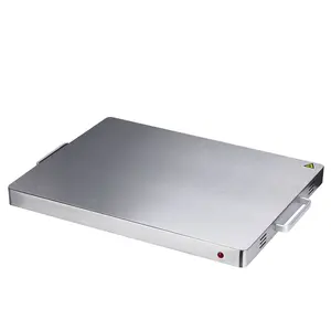 Electric Hot Plate Buffet Warmer Food Warming Tray for Shabbos - China Hot  Rolled Plate and Shabbat Hot Plate price