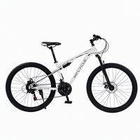 Sepeda Gunung Anak 2026 Baru 20 Inch Garpu Baja untuk Anak Usia 10 Tahun, Suspensi Penuh, Rem Cakram, Single Speed